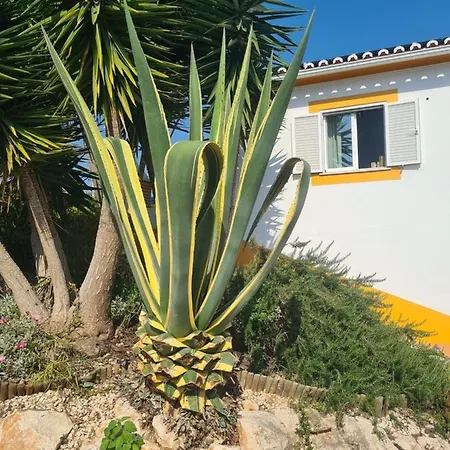 民宿 Casa Ensolarada And Pottery *