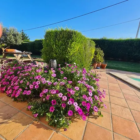 Homestay Casa Ensolarada And Pottery Aljezur